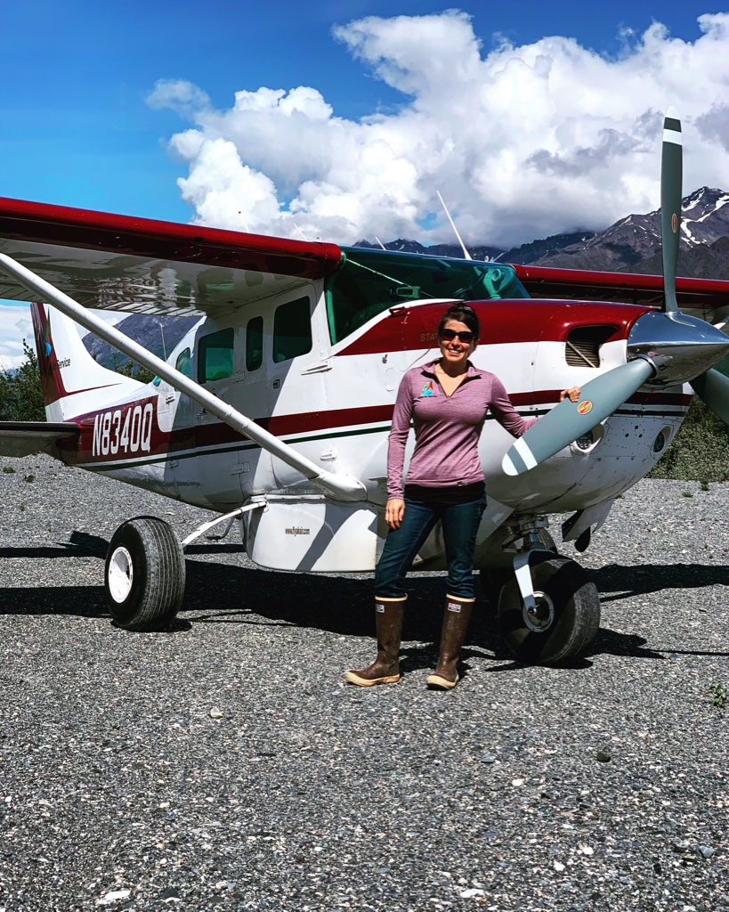 cessna 206, stationair