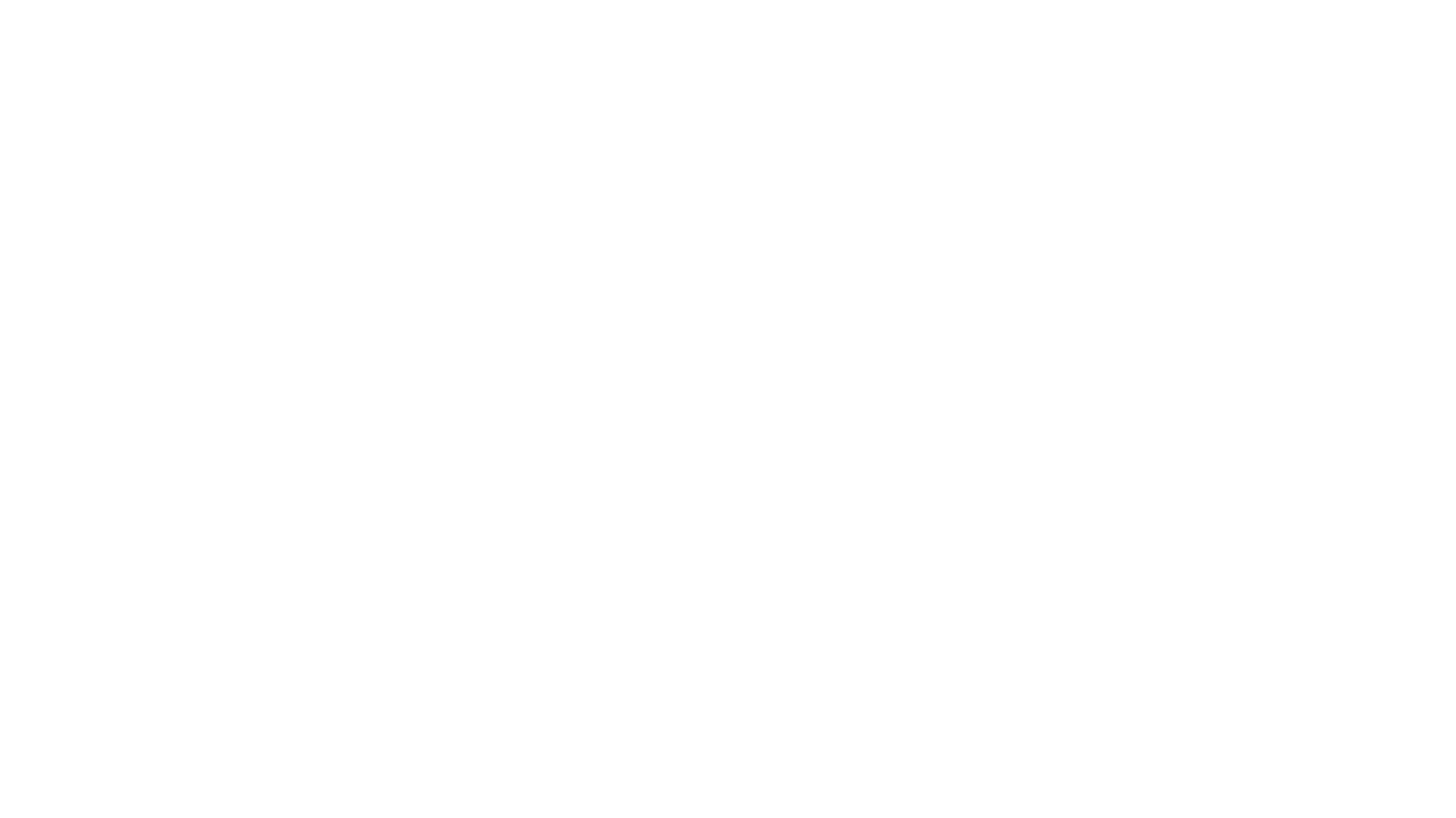 seebears